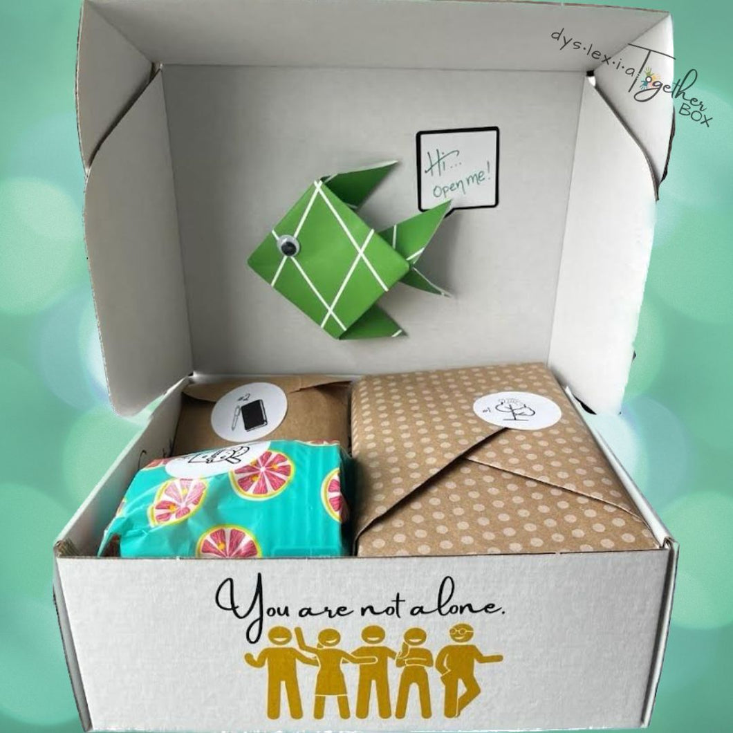 Dyslexia Together's Story Box of Surprises Subscription